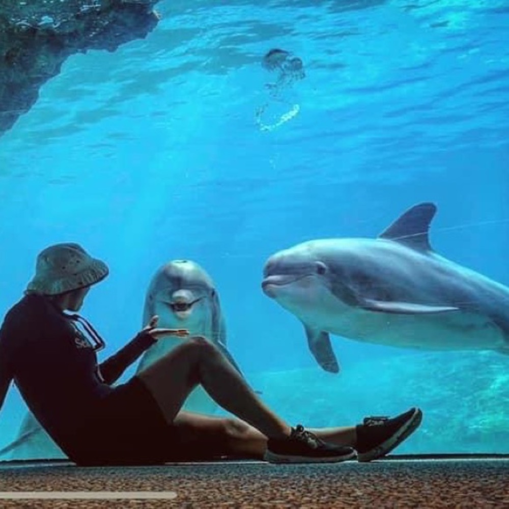 Meet your Posher, Cheryl